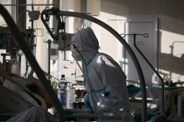 В России впервые выявили более 23 тысячи заболевших коронавирусом