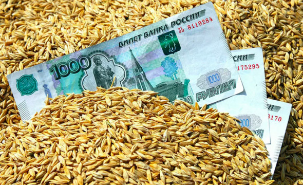 Долгожданное решение. Россия создает собственную биржу зерна