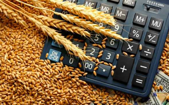 На рынках началась паническая скупка пшеницы