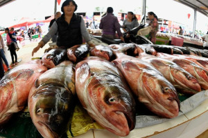 Россия резко увеличила поставки морепродуктов в Китай