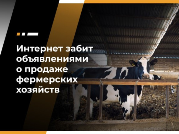 Игорь Абакумов: Интернет забит объявлениями о продаже фермерских хозяйств