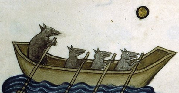 Крысы бегут на корабль: ожидание кровавой потехи?