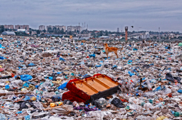 Минэк предложил перенести реформу по утилизации отходов на два года