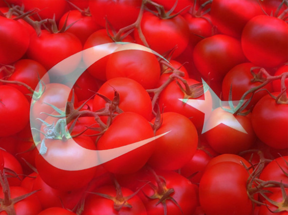 В России вслед за словами Эрдогана о Крыме нашли вирус в турецких помидорах