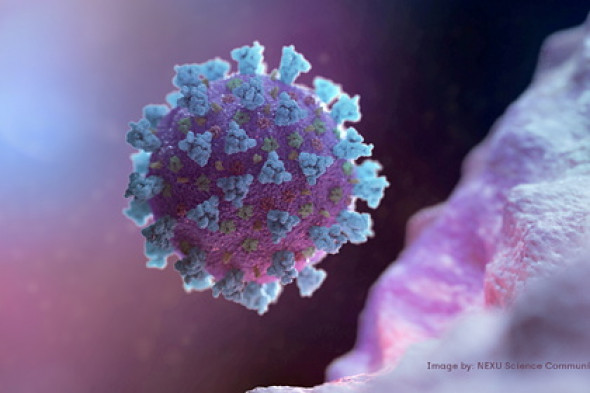 ВОЗ возобновит расследование происхождения коронавируса