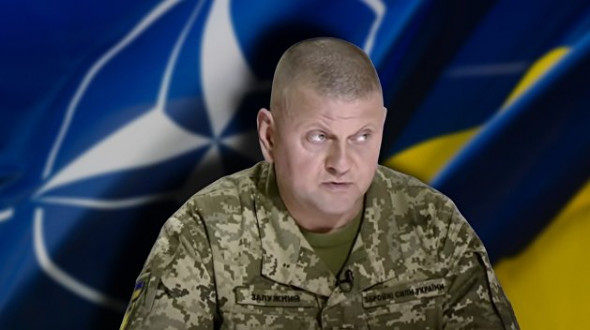 Почему Западу не нужно вступление Украины в НАТО