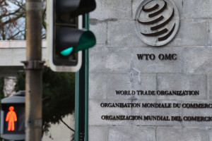 Пора освободиться от кабалы ВТО!