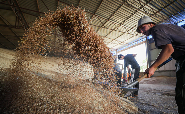 Еврокомиссия предложила исключить сельхозпродукцию из санкций