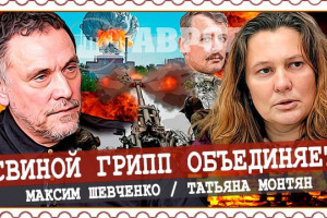 «Ядерный терроризм» по-киевски, или Кремль Стрелкову не товарищ