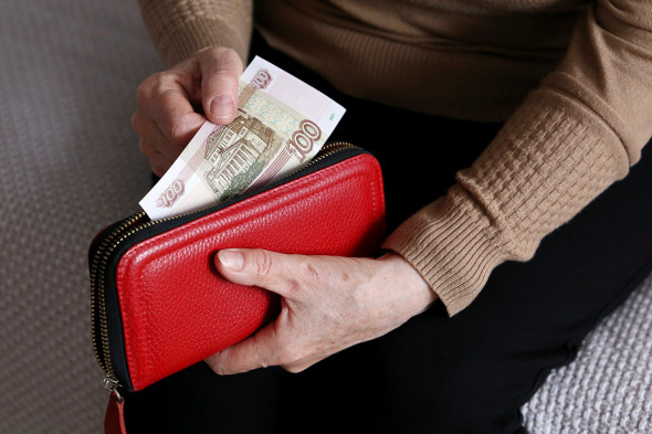 В Госдуме не поддержали идею о выплате тринадцатой пенсии