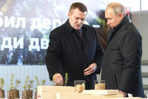 «Лесные короли»: кому выгоден северный вояж Владимира Путина
