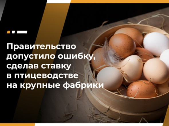 Игорь Абакумов: Правительство допустило ошибку, сделав ставку в птицеводстве на крупные фабрики