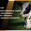 Юрий Крупнов: Беспричинная ликвидация скота у населения за последние полгода достигла чудовищных величин