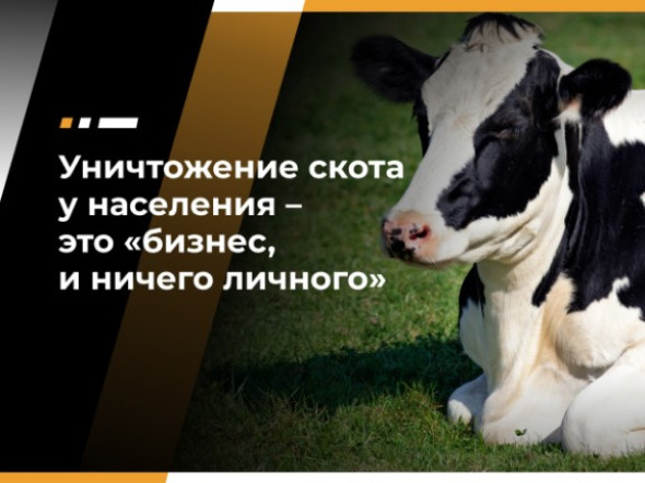 Юрий Крупнов: Беспричинная ликвидация скота у населения за последние полгода достигла чудовищных величин